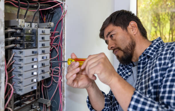 Best Licensed Electrician  in Hornell, NY
